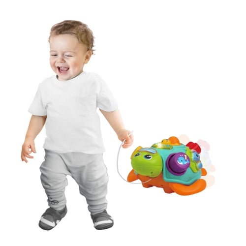 لعبة اسحب السلحفاة - صنف و تعلم