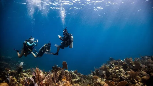 Diving experience - exclusive to diving trips