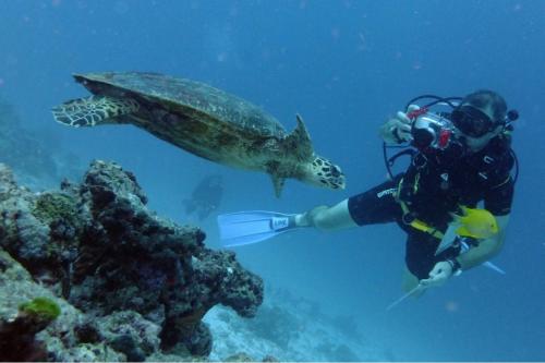 Advanced Open Water PADI diver