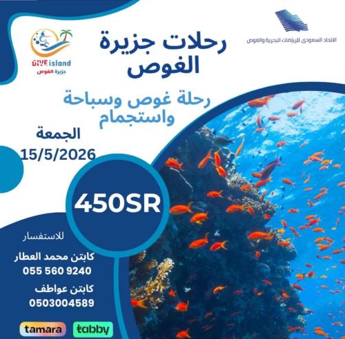 Diving Island Trip 15/05