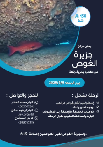 Diving trip