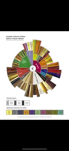 بروش عجلة التذوق
