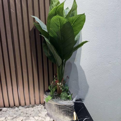 نخل صناعي 70سم