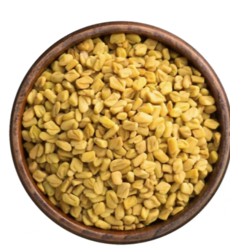 حلبة حب ( حجم صغير )