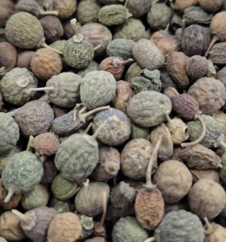 بذور السدر المجفف