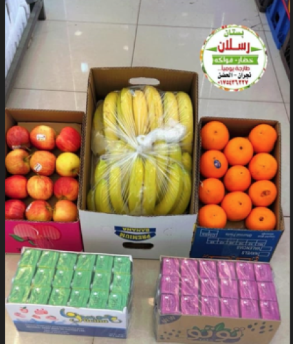 عرض بكج زيارة رسلان (1)