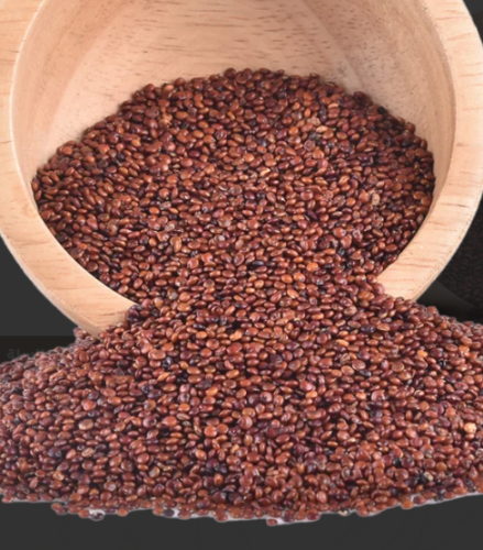 حب رشاد ( حجم صغير )