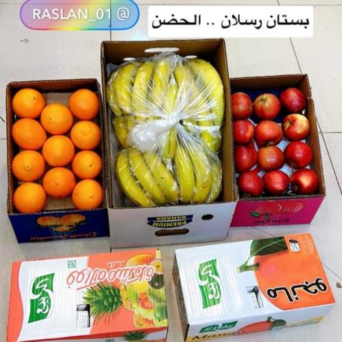 عرض بكج زيارة رسلان (2)