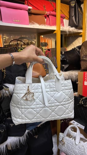 شنطه ديور ماستر حجمين