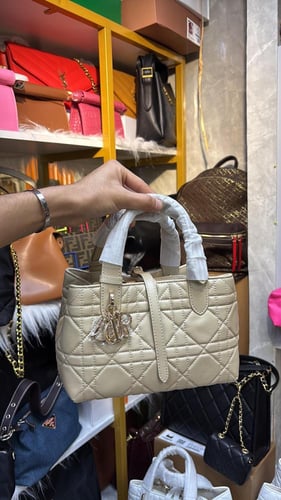 شنطه ديور ماستر حجمين