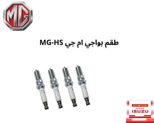 طقم بواجي ام جي MG-HS