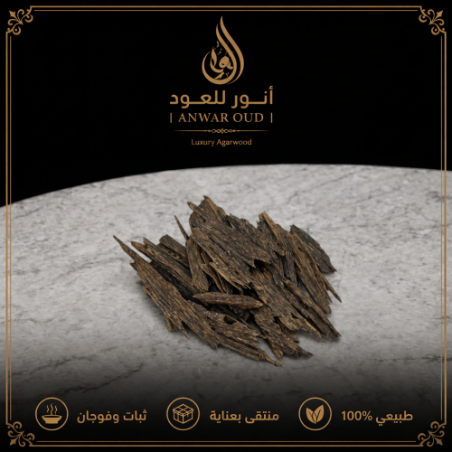 عود ترنقانو الماليزي