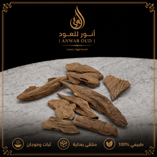 عود أرياني نوادر كنق طبيعي