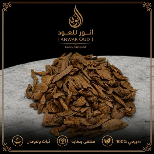 مروكي ميني طبيعي كنق