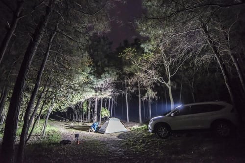 كشاف فينكس TK72R