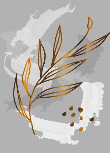 توازن الخطوط