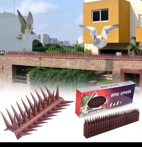 مسامير طاردة للطيور، وهي أداة تستخدم لمنع الطيور و...