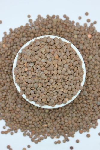 Black lentils