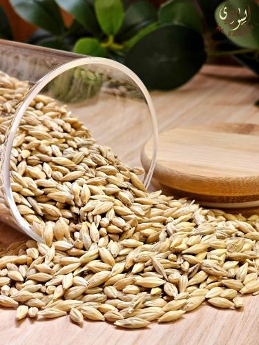 Barley grains