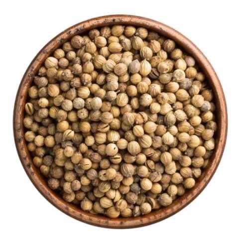 Coriander love