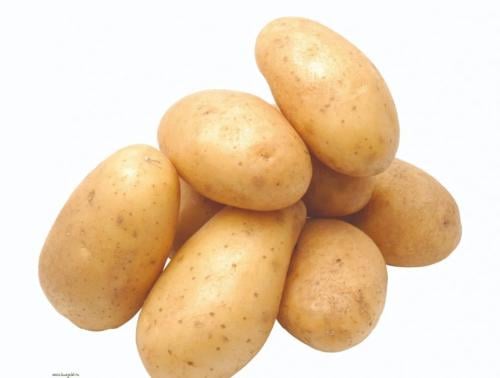 بطاطس