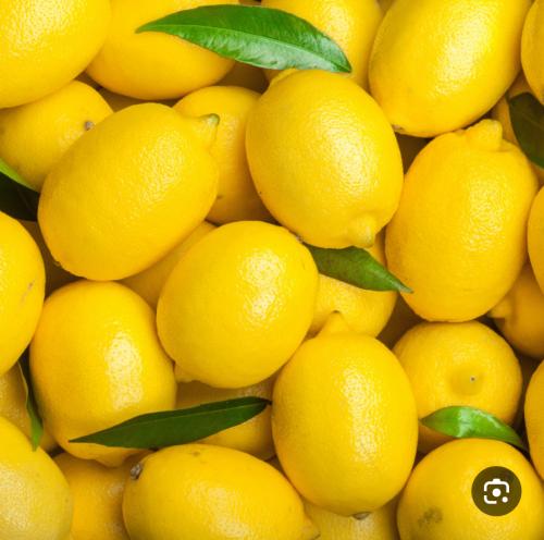 ليمون كبير