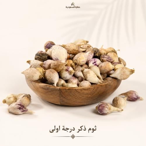 ثوم ذكر درجة اولى