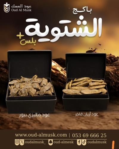 بكج الشتوية بلس