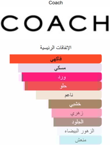 كوتش نيويورك