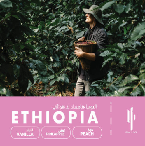 Ethiopia Hambella -Anaerobic-250g | إثيوبيا هامبيل...