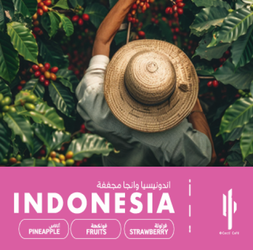 Indonesia Wanoja-Extended Natural-250g | إندونيسيا...