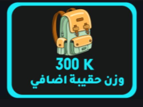 حقيبة 300