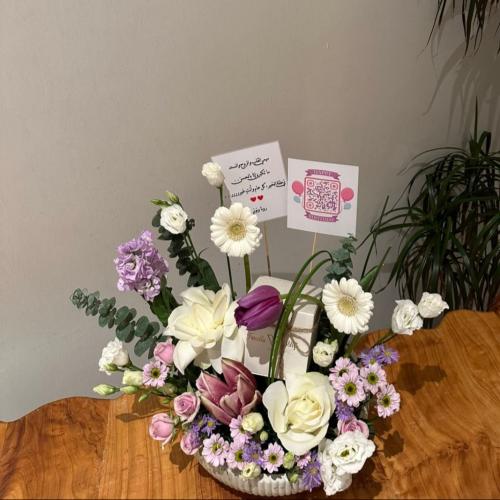 فازة بيلا مع شوكلت باتشي