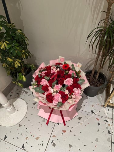 باقة سيجنتشر