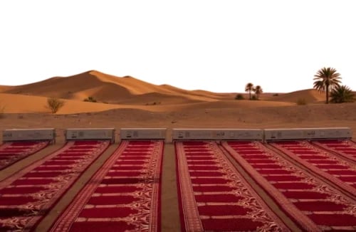 مصلى متنقل صف واحد سجاد اردني رفيع