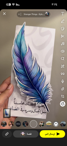 كرت الريشه رقمي