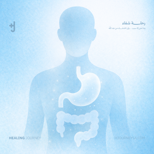 حمية الكانديدا