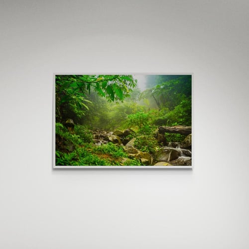 لوحة فنية غابة - صورة (107)