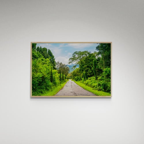 لوحة فنية حديقة - صورة (126)