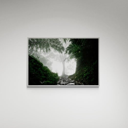 لوحة فنية غابة - صورة (108)