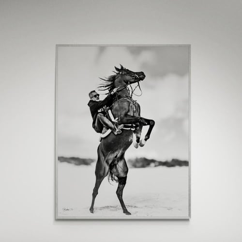 لوحة فنية خيل مع فارس خيال- صورة (117)