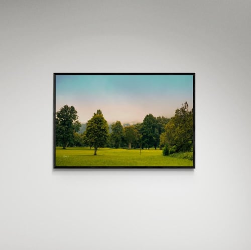 لوحة فنية حديقة وقت الغروب - صورة (127)