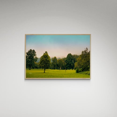 لوحة فنية حديقة وقت الغروب - صورة (127)