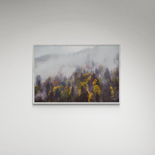 لوحة فنية ضباب وأشجار صورة - (4)