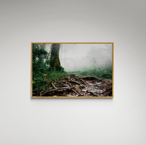 لوحة فنية غابة - صورة (106)