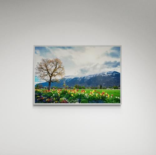 لوحة فنية منظر - صورة (161)