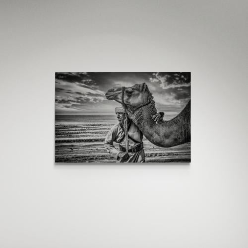 لوحة فنية جمل والراعي - صورة (52)