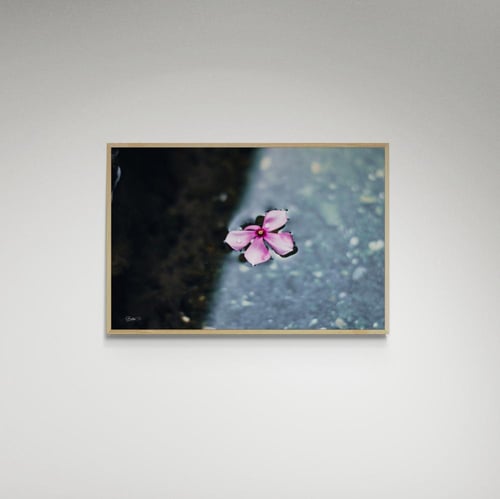 لوحة فنية وردة - صورة (14)