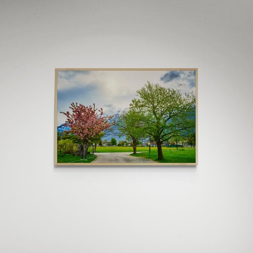 لوحة فنية منظر - صورة (163)