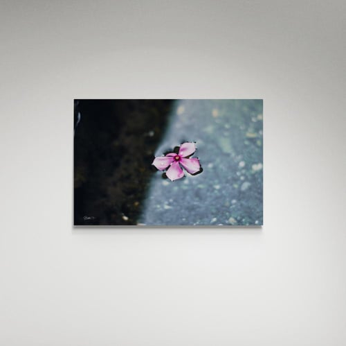 لوحة فنية وردة - صورة (14)